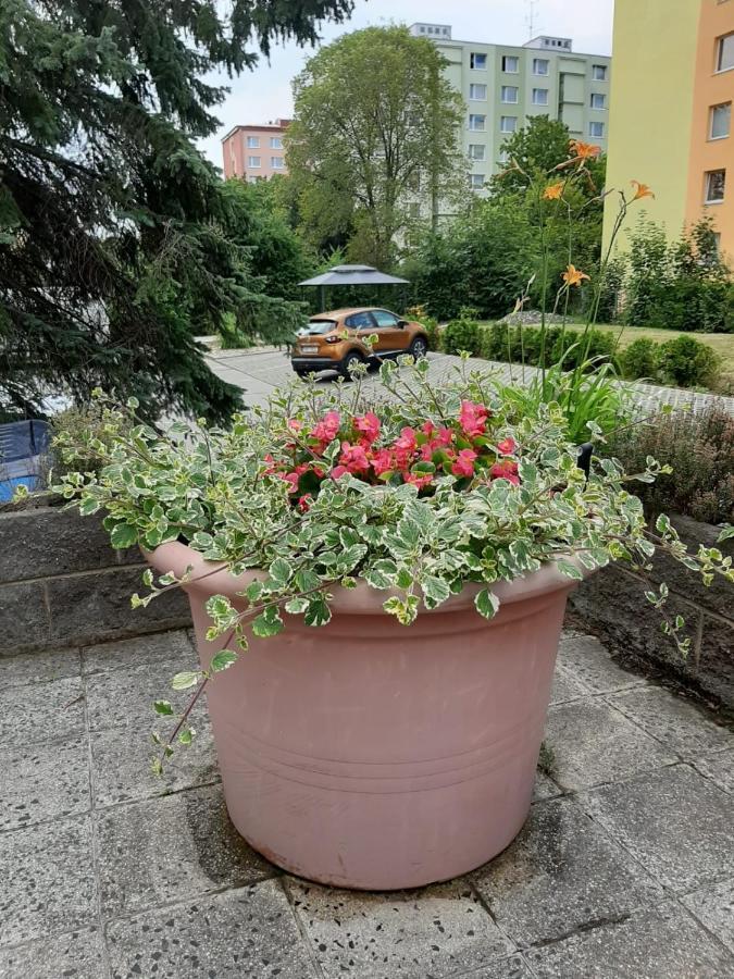 Kvetinovy Apartman A3B V Chomutove Exterior photo